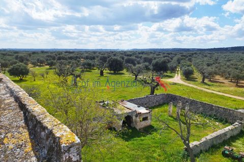 Landejendom i Carovigno, Brindisi, Carovigno - € 3.500.000 | Ref: 122559 - foto 9